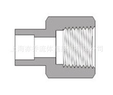 Tube管对焊内螺纹接头   与 FITOK仪表阀门管件接头互换
