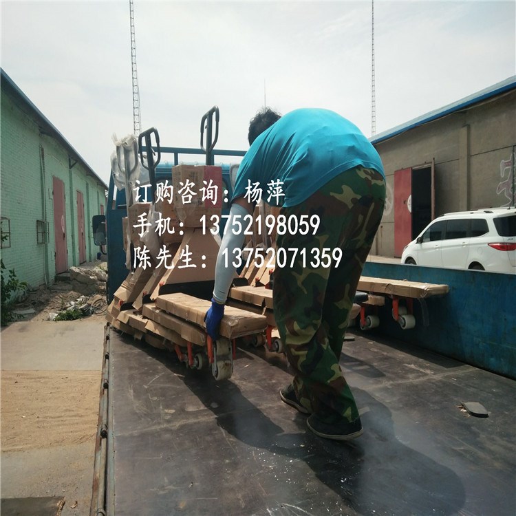 河北电子叉车秤 带打印电子叉车秤 称重0.5吨1吨叉车地泵