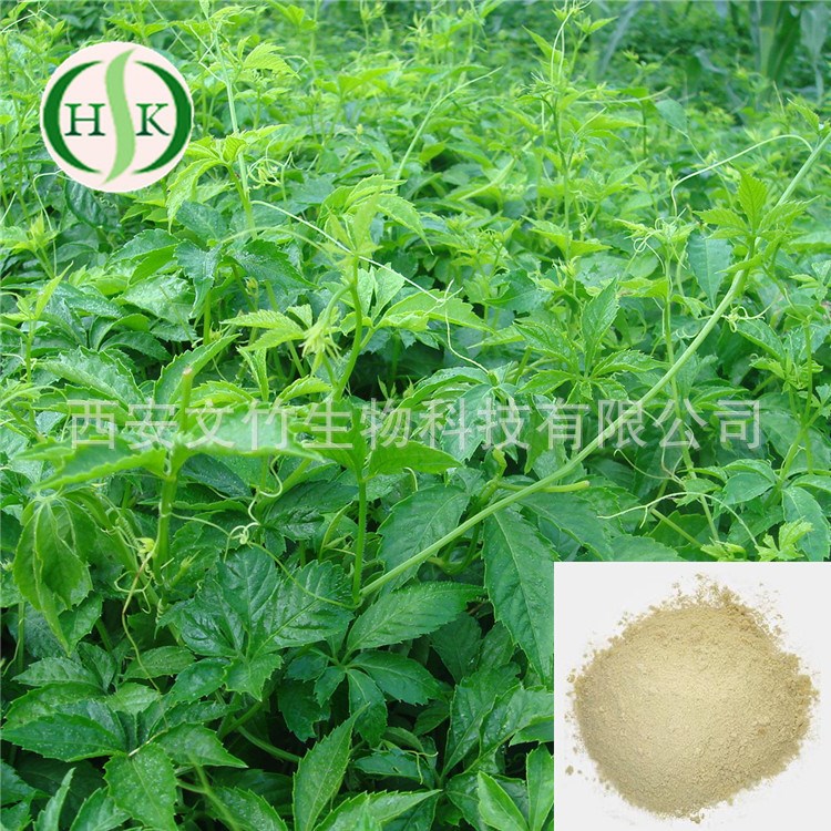 文竹生物 绞股蓝提取物98% 绞股蓝皂甙