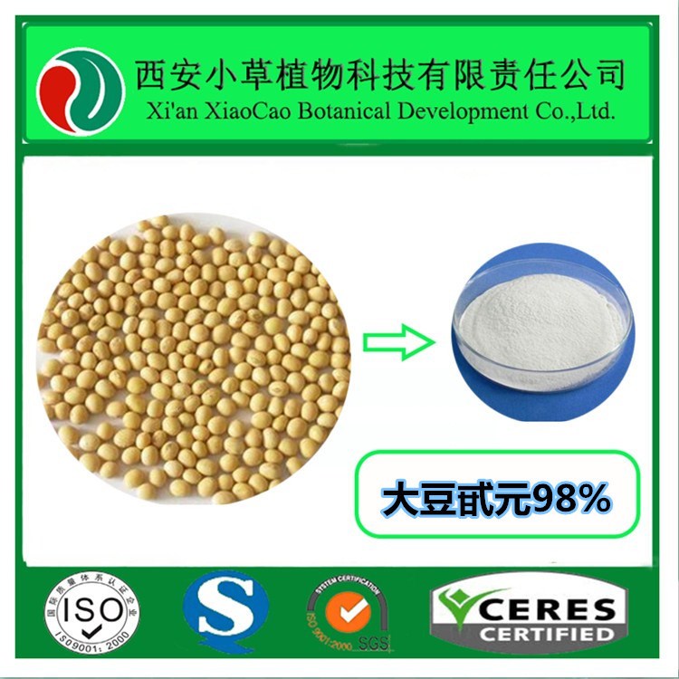 厂家现货供应大豆甙元98%
