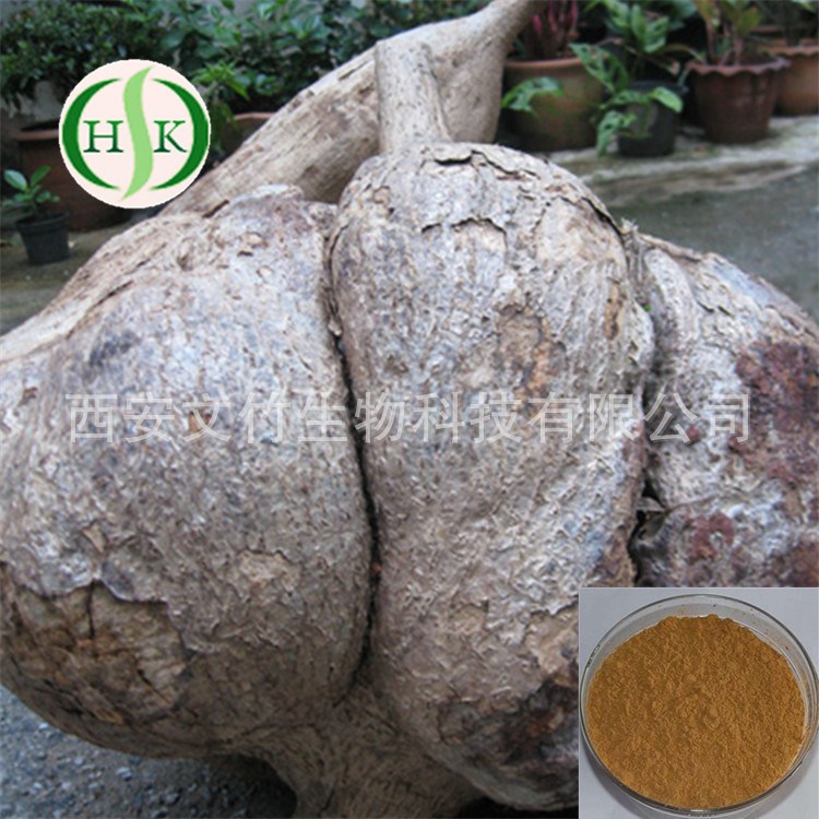 文竹生物 水溶葛根黄酮 野葛根提取物