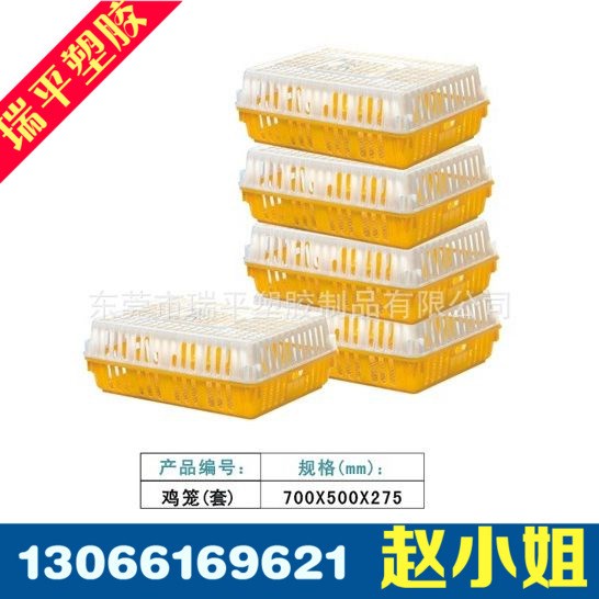 供应 贵州地区家禽养殖笼鸡笼鸡苗箩鸡笼鸽子笼塑料鸡笼运输笼