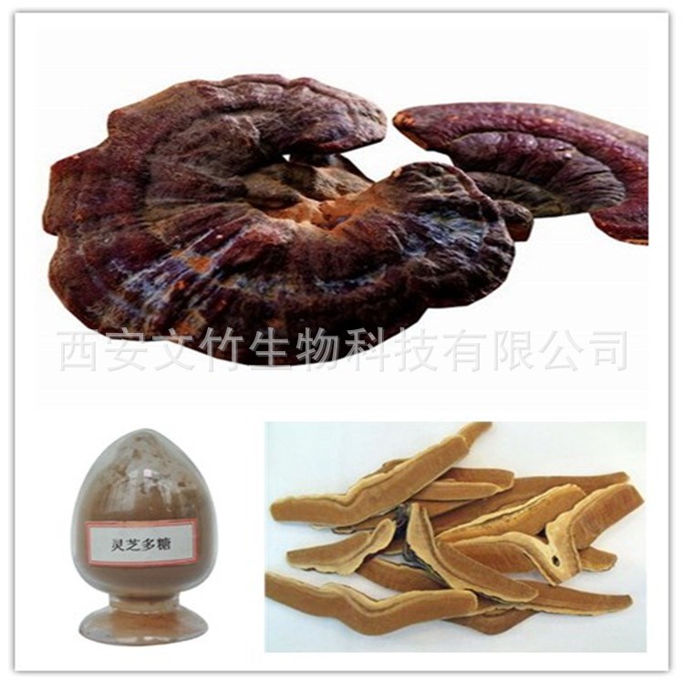 灵芝提取物 灵芝多糖50% 水溶性灵芝多糖  文竹生物