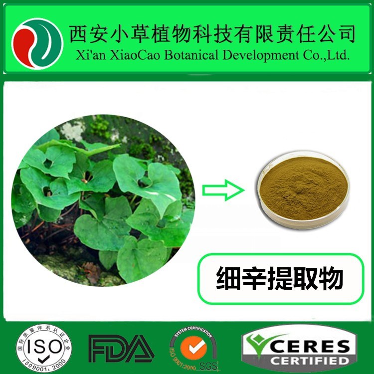 厂家现货供应细辛提取物 细辛粉   大量现货