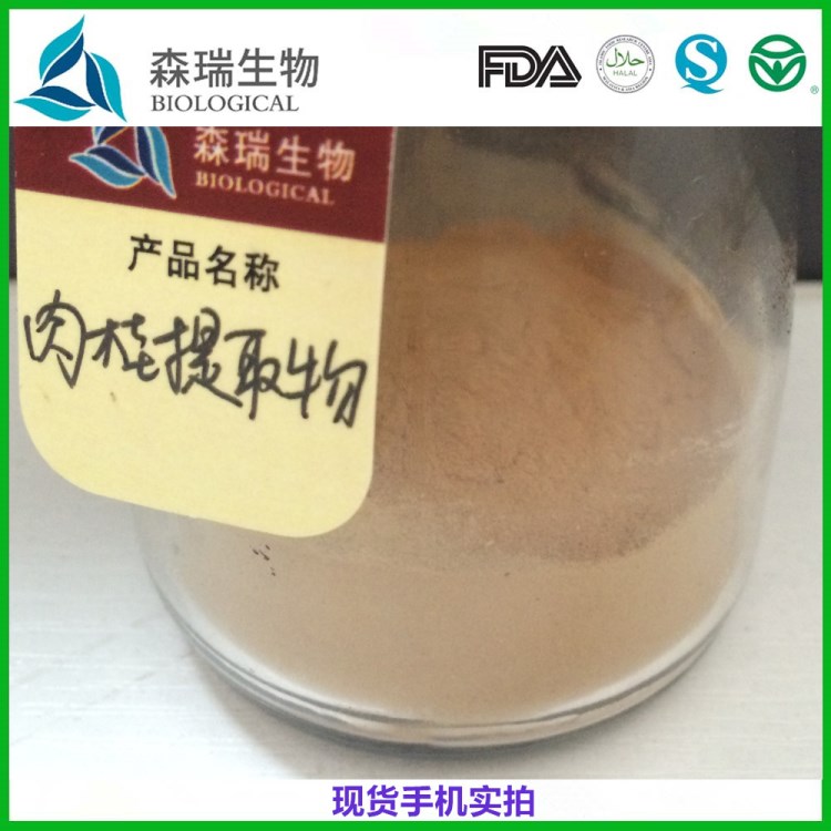 肉桂提取物 10:1  肉桂多酚  桂皮提取物
