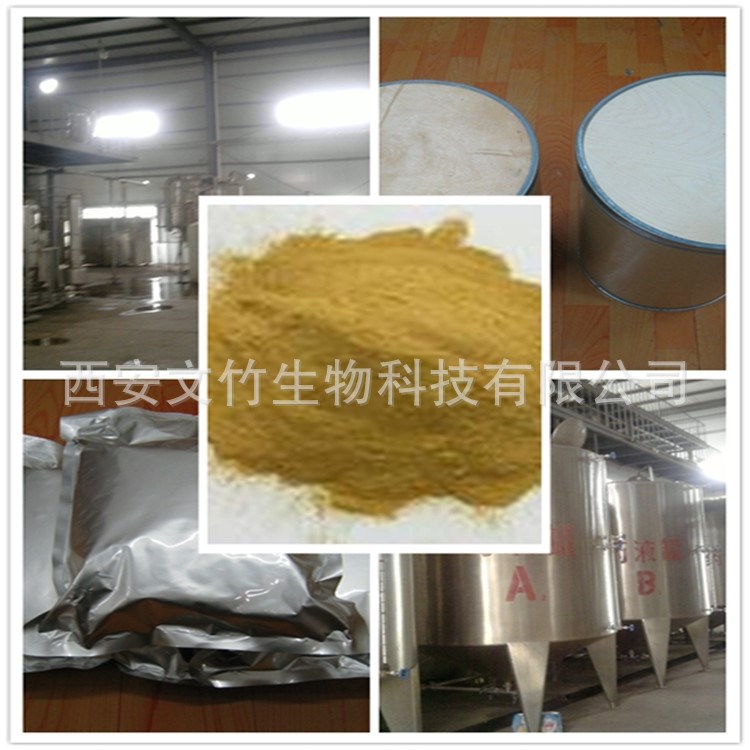 文竹生物 地瓜苗儿提取物 泽兰提取物