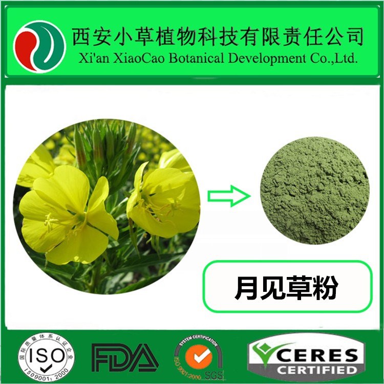 月见草提取物10:1 月见草粉 厂家大量现货供应