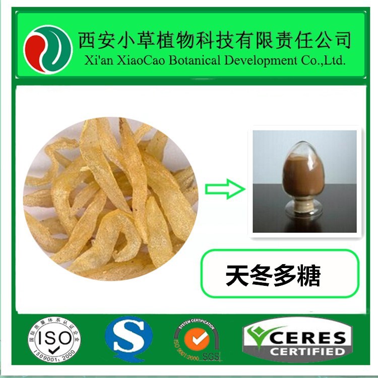 厂家现货 天门冬提取物天冬多糖40%