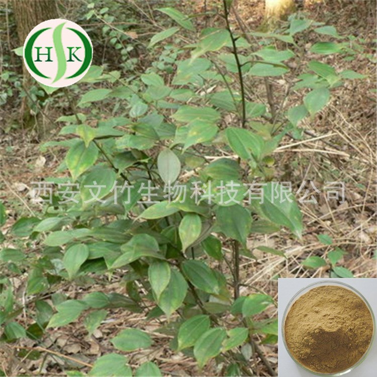 文竹生物 香樟内酯 乌药提取物