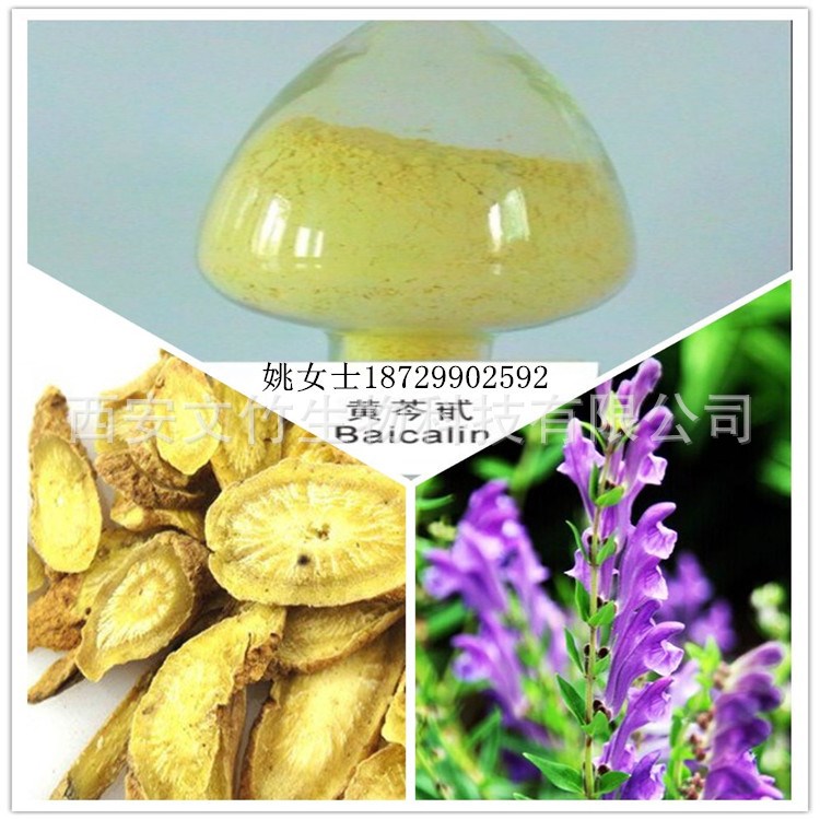黄芩苷85% 黄芩甙 Baicalin 21967-41-9 黄芩提取物