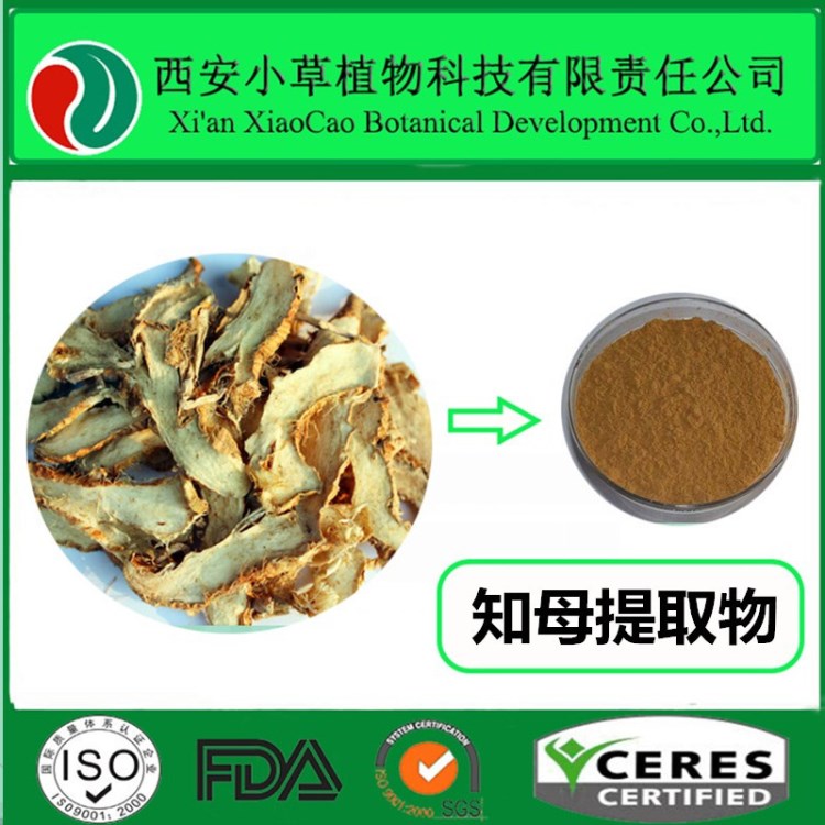 厂家现货供应知母提取物 知母皂甙 比例提取物10:1
