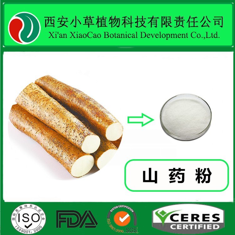 山药粉    怀山药  厂家大量现货供应