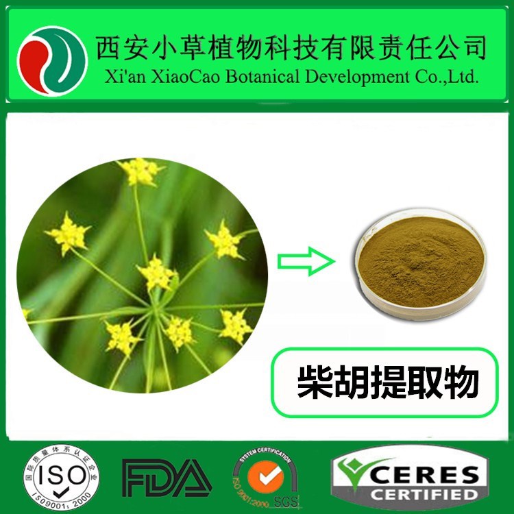厂家现货供应柴胡提取物 10:1 柴胡皂甙