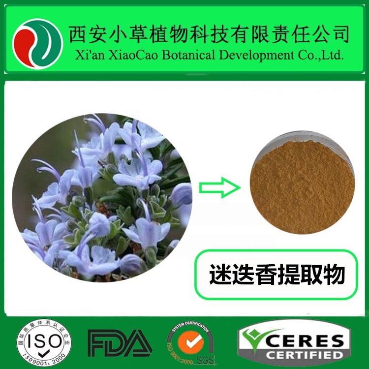 迷迭香提取物 迷迭香粉 迷迭香酸厂家大量现货供应
