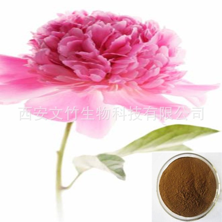 白芍/芍药提取物 芍药苷20% 芍药甙 23180-57-6 Paeoniflorin
