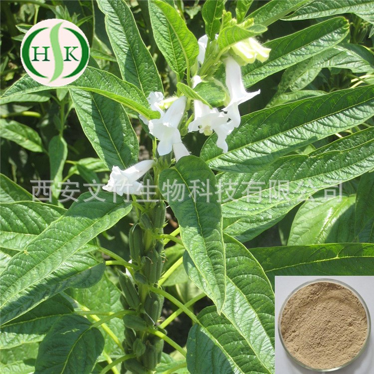 文竹生物 芝麻素 607-80-7 黑芝麻提取物