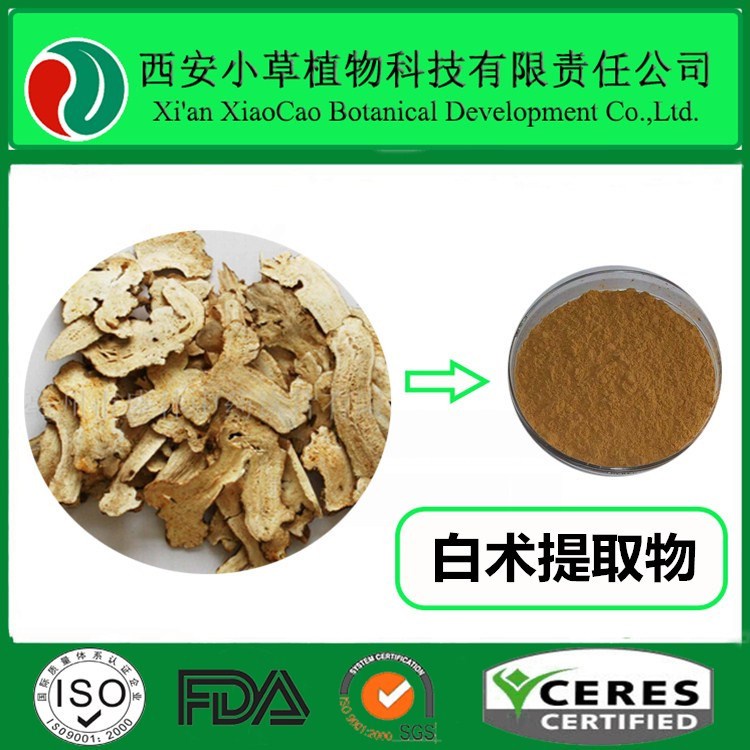 厂家现货供应白术提取物白术粉