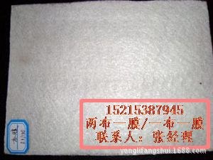 福建堤坝防渗复合土工膜厦门防渗膜厂家