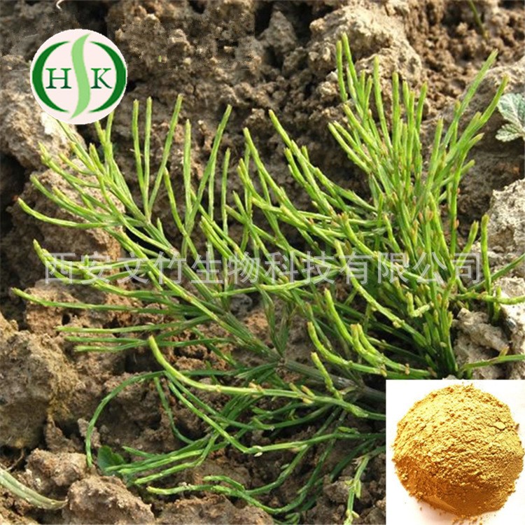 文竹生物 有机硅7%  问荆提取物