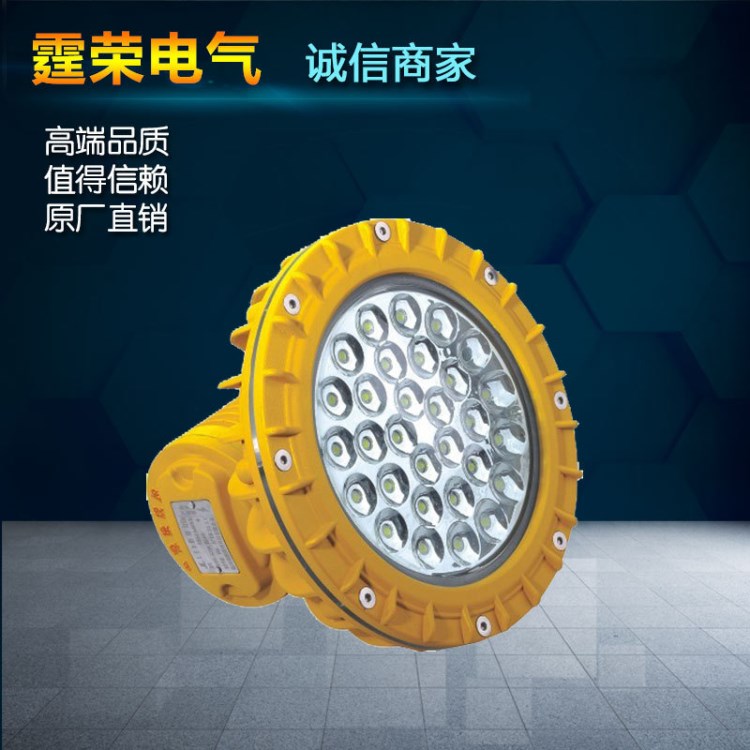 喷漆房专用护栏灯具 220V 380V加油站工矿灯LED照明灯LED防爆灯具