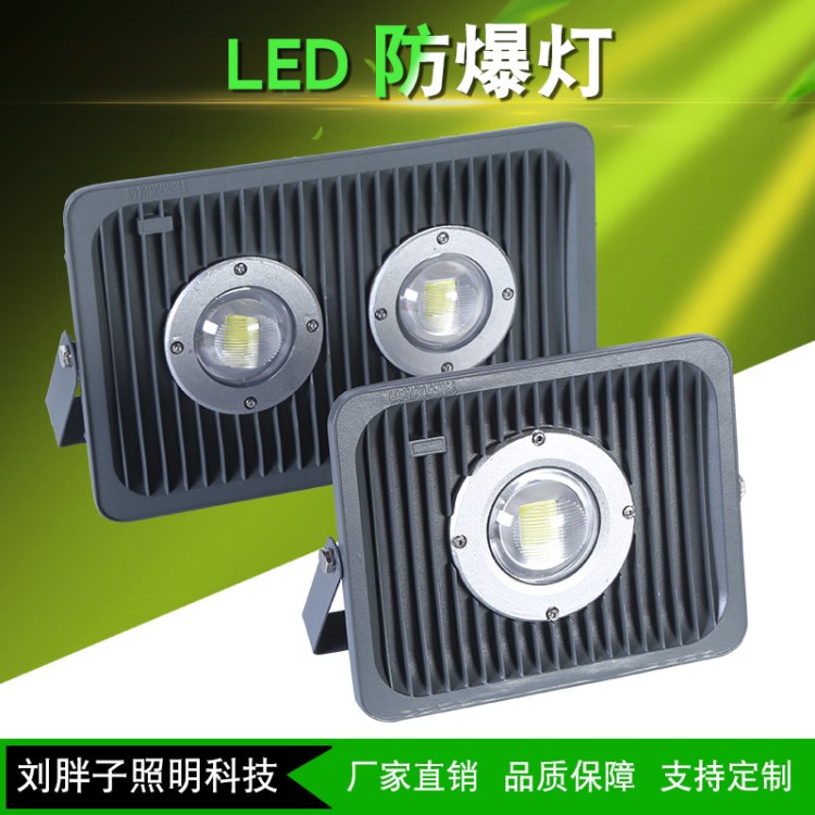 LED投光灯仓库照明防爆灯LED隧道灯50W100W150W户外防水厂房灯