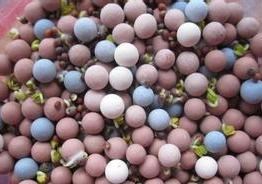 能量球，能量粉，能量片 可以定做各种能量产品