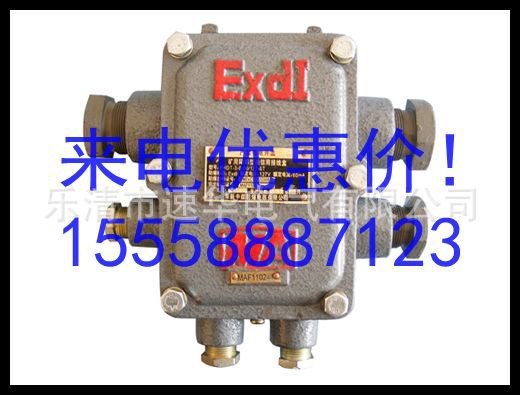BHDT-3-0.06/127-6T隔爆型固定式电话电缆多通接线和分线盒20对