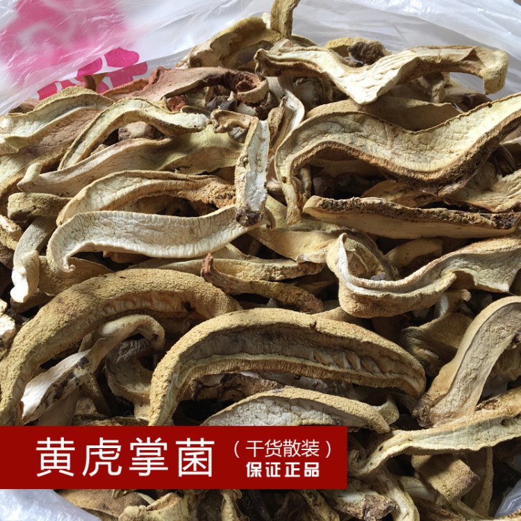 【菌窝子】高原特产黄虎掌菌干货食用野生菌野生菌干片批发