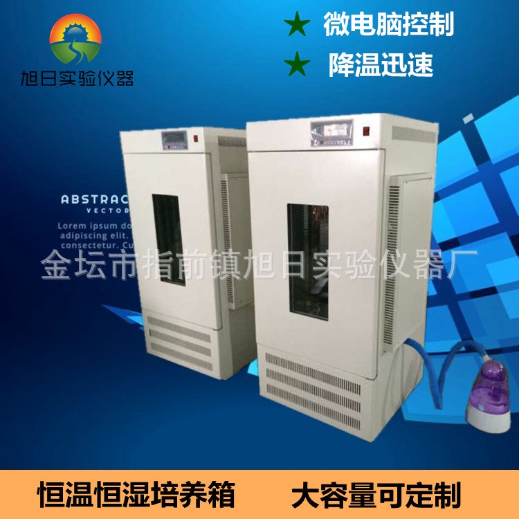 恒温恒湿培养箱250L/智能恒温恒湿培养箱/微生物培养箱