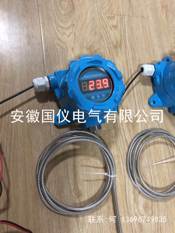 防爆挂壁式一体化温度显示变送器