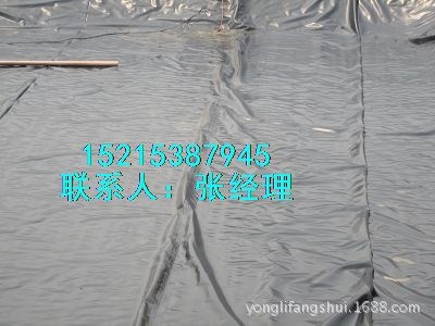 广西HDPE土工膜/矿区专用防渗膜厂家直销