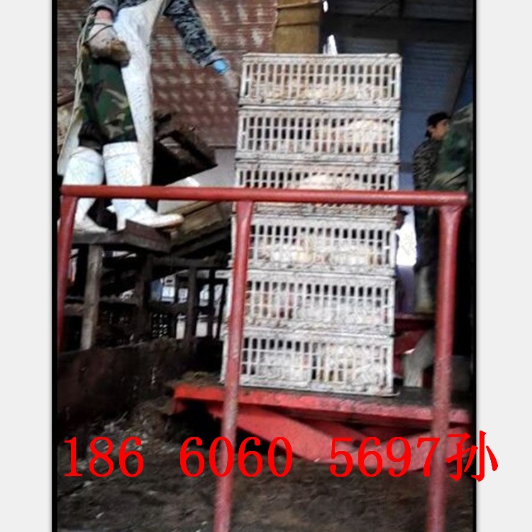 全自动禽笼输送带 鸭笼升降平台 宰鸭流水线用卸鸭笼设备S