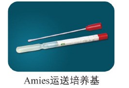 Amies采样运送拭子 厂家生产直销    运送培养基