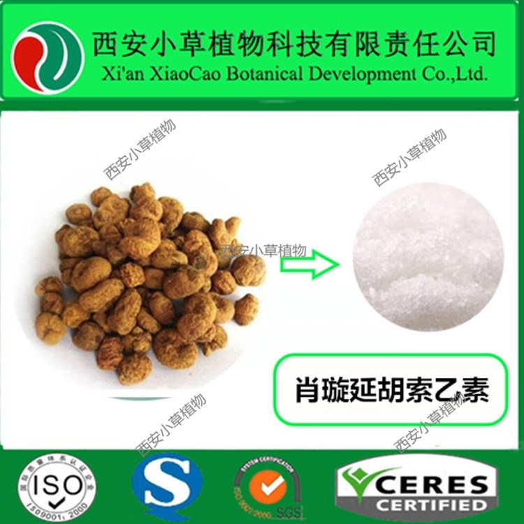 厂家直销 消旋体延胡索乙素98%
