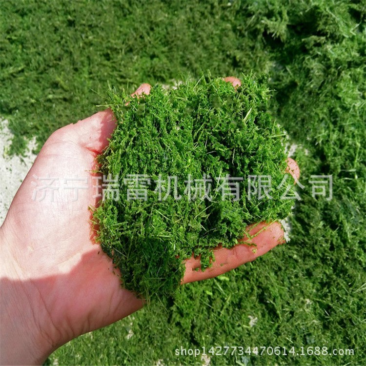白菜打碎机 蔬菜瓜果切碎打浆机 锤片式草浆机 玉米芯粉碎机