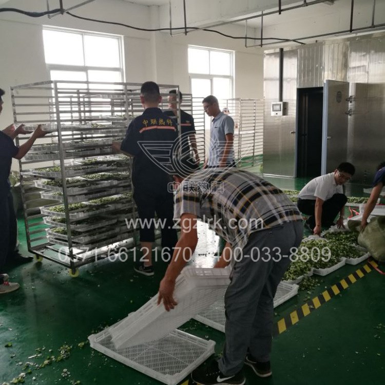 大葱烘干机设备 小葱空气源烘干机电脑控制省人工香葱热泵烘干机