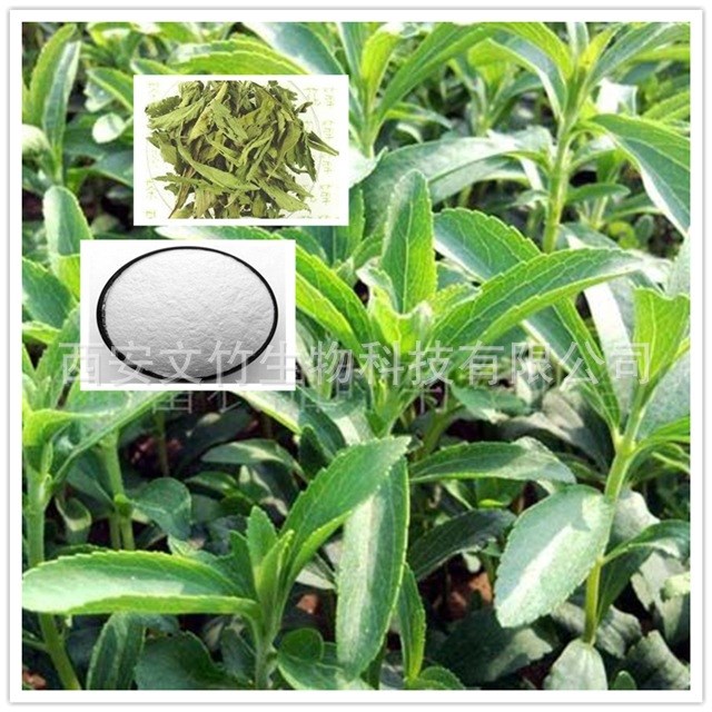 甜菊糖苷95% 甜菊糖甙 甜叶菊提取物