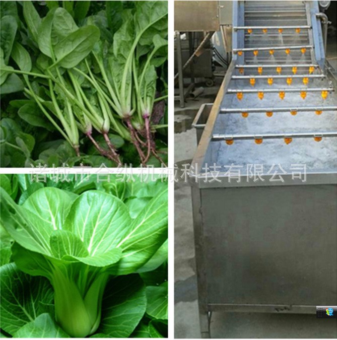 厂家直销蔬菜气泡翻浪清洗机 叶菜类清洗机械设备