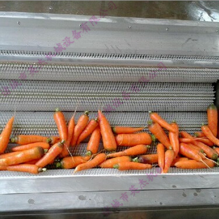 厂家直销毛刷式清洗去皮机 胡萝卜去皮清洗机 红薯土豆清洗去皮机