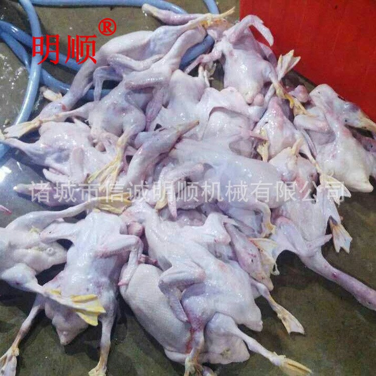 L三黄鸡蛋鸡脱毛机鸡鸭鹅打毛机家禽屠宰机设备生产厂家