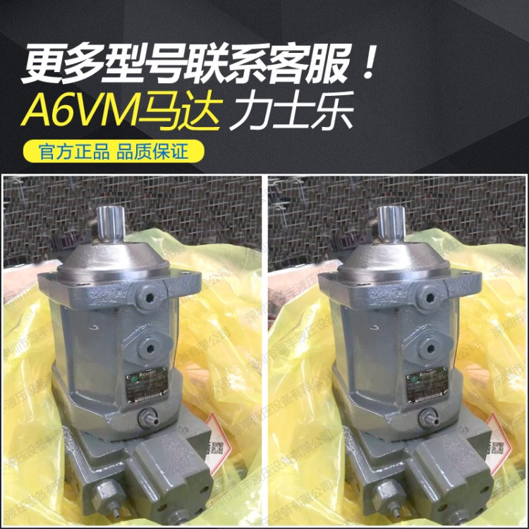 德国Rexroth力士乐 小型高速液压马达 A6VM28EP1D/63W-VZB020HB