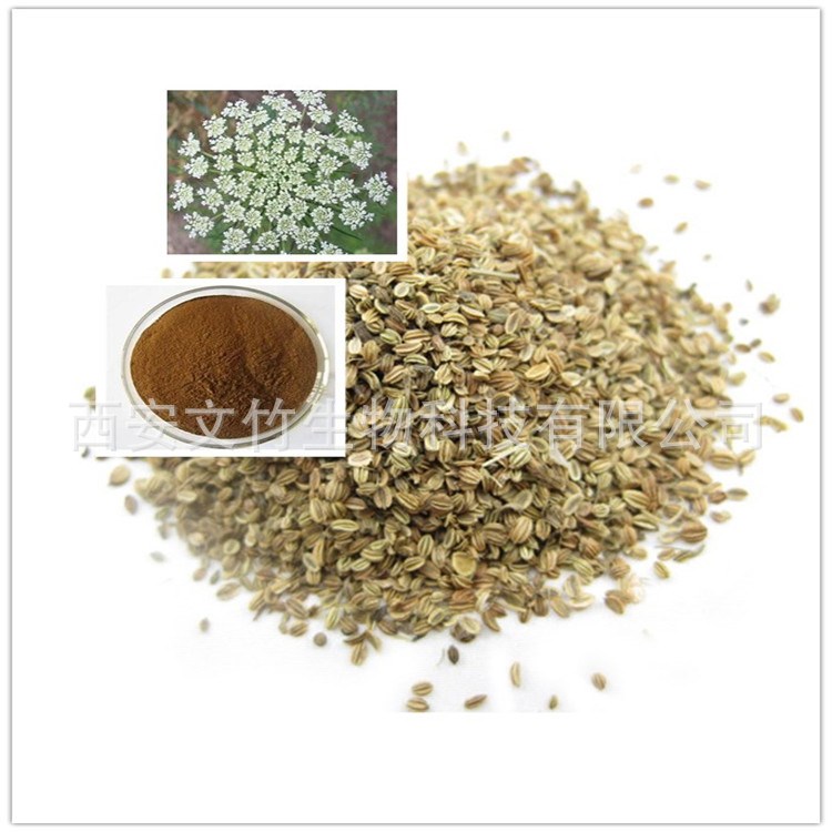 供应蛇床子提取物10:1 蛇床子素 蛇床子粉 植物提取物 文竹生物