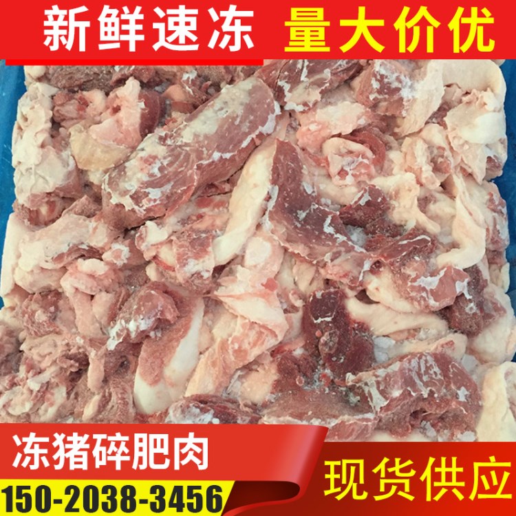 厂家批发冻猪碎肥肉3:7/4:6 冷冻新鲜猪碎肥肉 冷鲜碎精肉