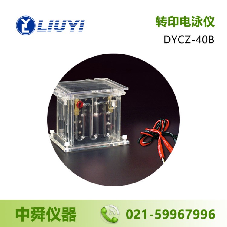 北京六一 DYCZ-40B 转印电泳仪 电泳槽 中号