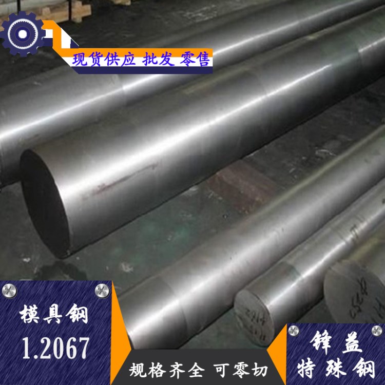 厂家直销102Cr6(100Cr6)/1.2067 冷作合金工具钢 高精密冲模