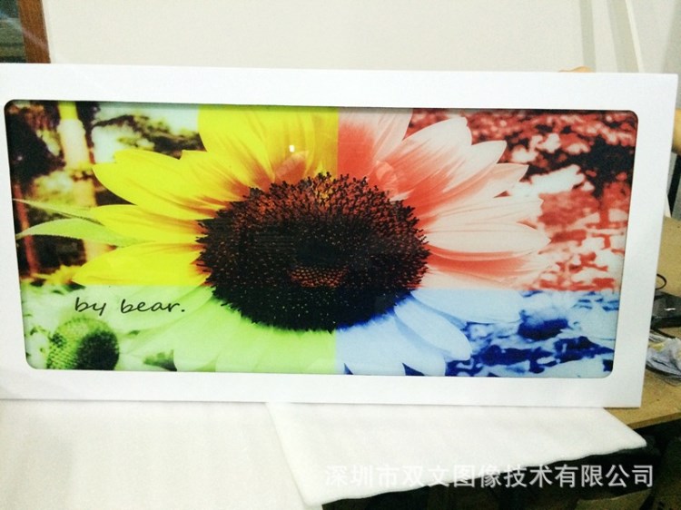 玻璃印刷加工 玻璃喷绘装饰画 玻璃冰晶画印刷制作  畅销全球
