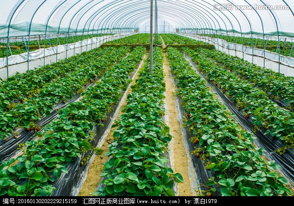 供应大棚骨架，蔬菜大棚骨架，江浙沪包邮