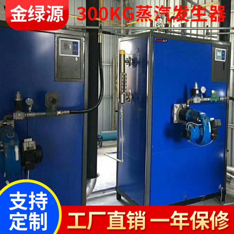 金绿源燃油燃气蒸汽发生器 300KG热能锅炉蒸汽锅炉 蒸汽锅炉厂家