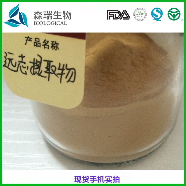 远志提取物10:1  细叶远志皂甙 远志皂苷