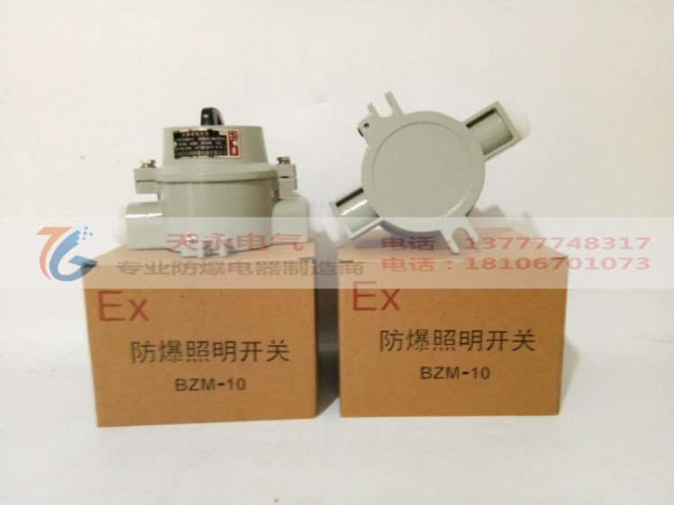 BZM-10A粉尘防爆照明开关防水防尘控制开关电压220V380VExdIIBT6